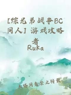 [综兄弟战争BC同人] 游戏攻略者