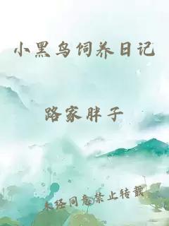 小黑鸟饲养日记