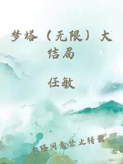 梦塔（无限）大结局