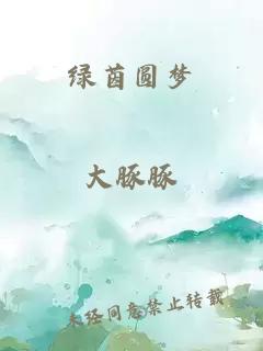 绿茵圆梦