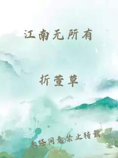 江南无所有